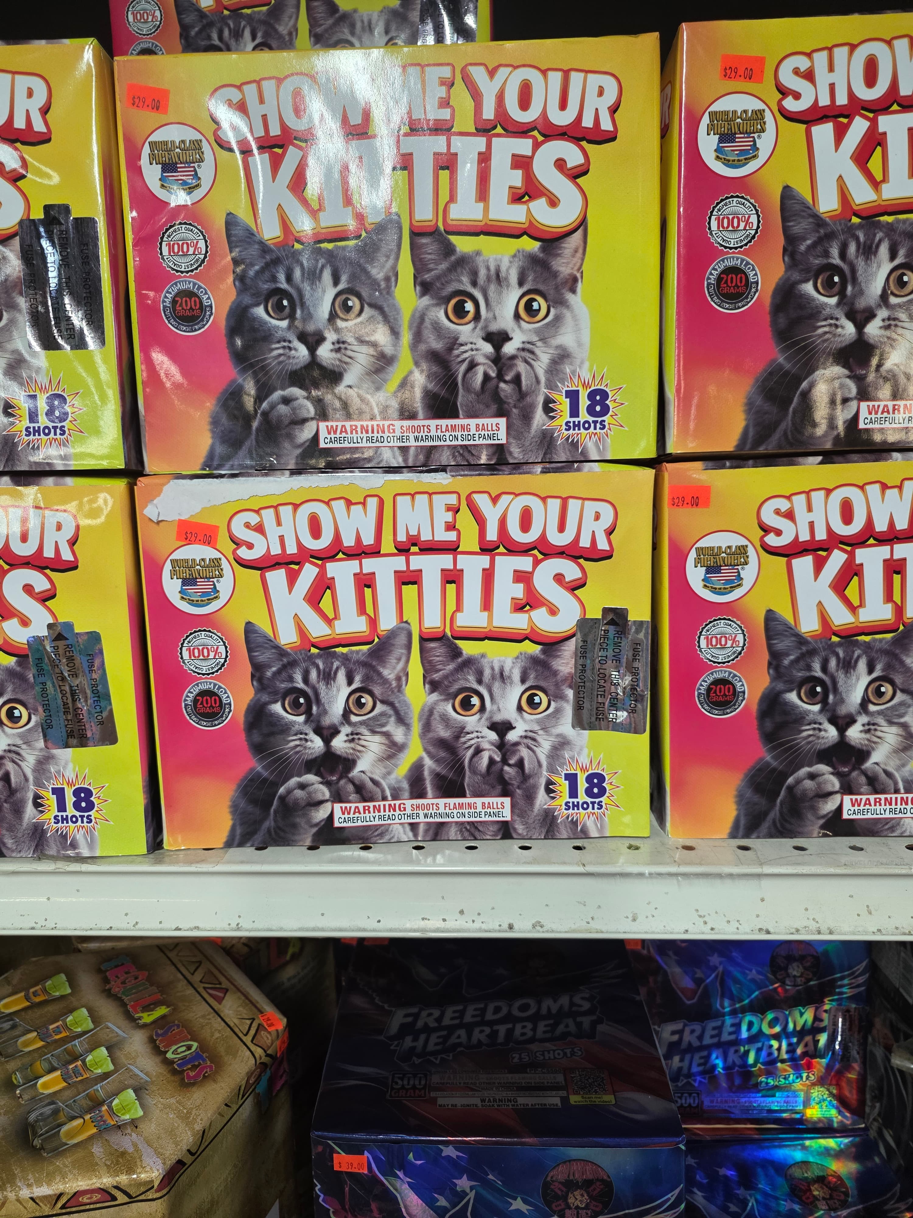 Show Me Your KITTIES